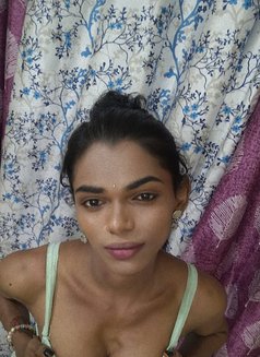 Sanvi New Shemale - Transsexual escort in Hyderabad Photo 3 of 3