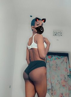 Sanvi Sissy - Transsexual escort in New Delhi Photo 6 of 11