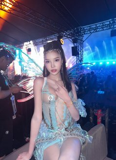 🦋🇹🇭Saori real picture original 🇹🇭🦋 - escort in Taipei Photo 13 of 13