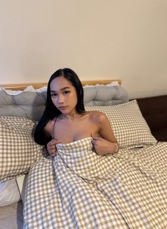 Saori Sushi GFE - escort in Taipei Photo 9 of 23