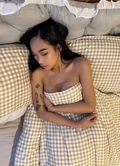 Saori Sushi GFE - escort in Taipei Photo 10 of 23