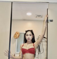 Zebby GFE - escort in Taipei