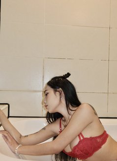 Saori Sushi GFE - escort in Taipei Photo 17 of 23