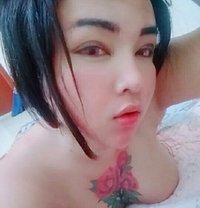 Sara_239 - Acompañantes transexual in Muscat
