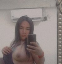 Sara_239 - Transsexual escort in Muscat