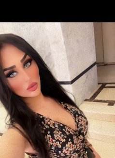 Sara Arabic shemale xxl 21 cm - Transsexual escort in İstanbul Photo 13 of 14