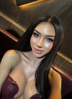 Sara Big 69 - Transsexual escort in Al Manama Photo 21 of 21