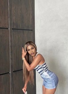 Sara - escort in Jeddah Photo 1 of 1