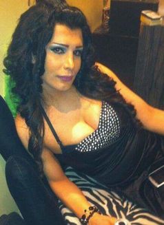 سارة شيميل عربية في اسطنبول - Transsexual escort in İstanbul Photo 5 of 5