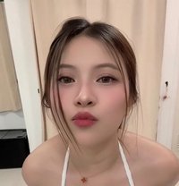 Sara, Escort - escort in Jeddah