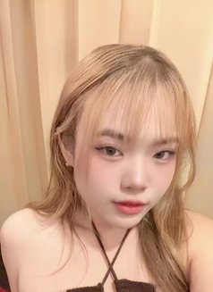 Sara Lady Sex - escort in Pattaya Photo 1 of 11