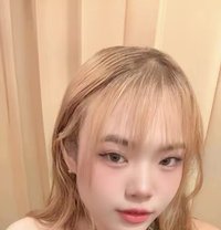 Sara Lady Sex - escort in Pattaya