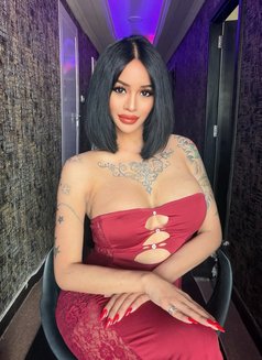 Sara Ladyboy&shemale both - Acompañantes transexual in Dubai Photo 10 of 11