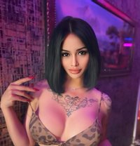Sara Ladyboy&shemale both - Transsexual escort in Dubai