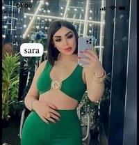 sara new arrived - escort in Muscat