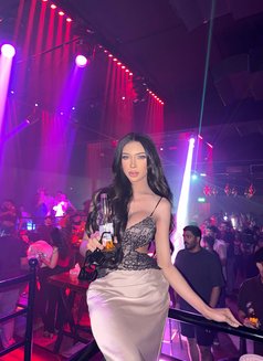 Sara New 69 - Transsexual escort in Al Manama Photo 13 of 15