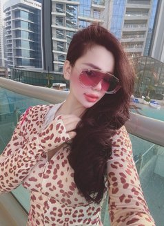 🦋Sara New Dubai Full Service🦋 - escort in Dubai Photo 13 of 15