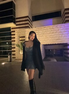 🦋Sara New Dubai Full Service🦋 - puta in Dubai Photo 18 of 19