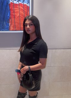 Sara Queen - Transsexual escort in Noida Photo 1 of 6
