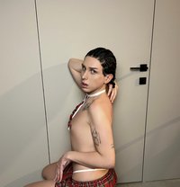Sara Russian New in Riyadh - Acompañantes transexual in Riyadh