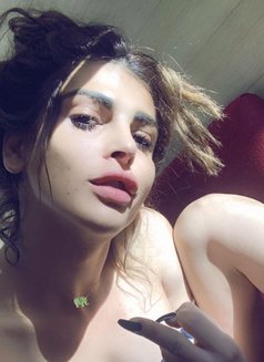 Sara sexy - Transsexual escort in Beirut Photo 9 of 12
