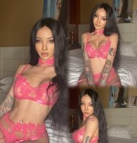 SARA SIN - Acompañantes transexual in Dubai