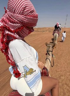 Sara - puta in Dubai Photo 4 of 4