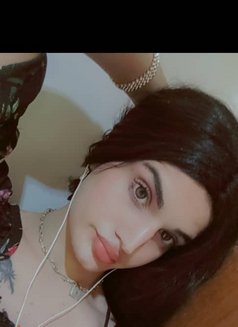 Sara - Transsexual escort in Beirut Photo 1 of 1