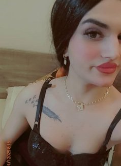 Sara - Acompañantes transexual in Beirut Photo 3 of 10