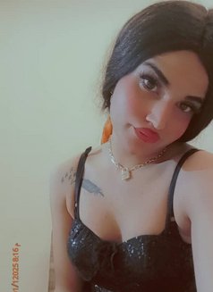 Sara - Acompañantes transexual in Beirut Photo 8 of 10