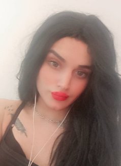 Sara - Acompañantes transexual in Beirut Photo 10 of 10
