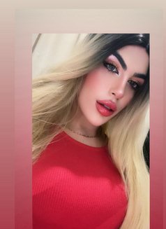 halaa - Transsexual escort in Beirut Photo 1 of 4