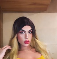 halaa - Acompañantes transexual in Beirut