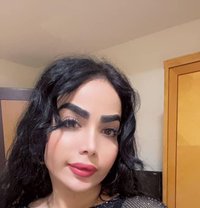 Sara irani - escort in Al Sohar