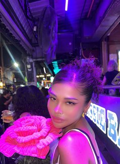 Sara - escort in Phuket Photo 5 of 6