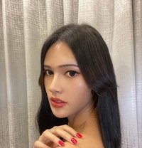 Sara - Transsexual escort in Bangkok