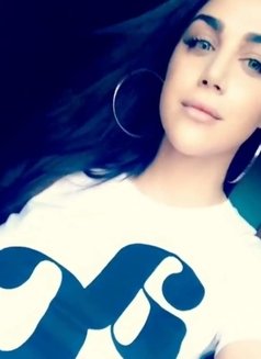 Sara Ts - Transsexual escort in Doha Photo 8 of 8