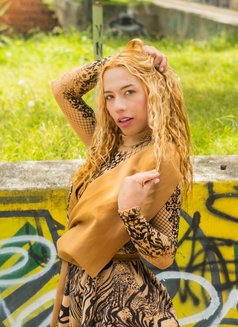 Gia Young Latina Versatile - Transsexual escort in Cairo Photo 13 of 18