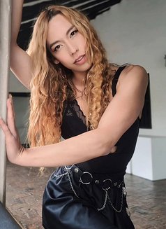 Gia Young Latina Versatile - Transsexual escort in Cairo Photo 14 of 18