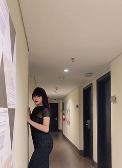 Sarah Bali - Transsexual dominatrix in Bali Photo 5 of 7