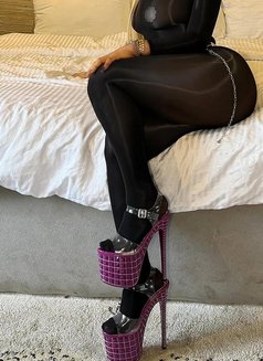 Sarah,BDSM,GFE,CIM,SQUIRT,BJ SLOOPY - escort in Jeddah Photo 6 of 6