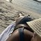 Sarah Indonesian Dimples (OF) - escort in Dubai Photo 4 of 9