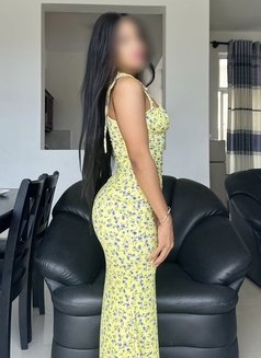 Sonya Independent Perfect Gfe - escort in Colombo Photo 6 of 30