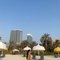 Sarah independent Nuru massage - puta in Dubai Photo 4 of 7