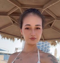 Sarah new in Bahrain - escort in Al Manama