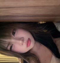 Sarah - Acompañantes transexual in Bangkok