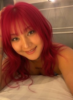 Sarah Thaidoll - escort in Okinawa Island Photo 10 of 10