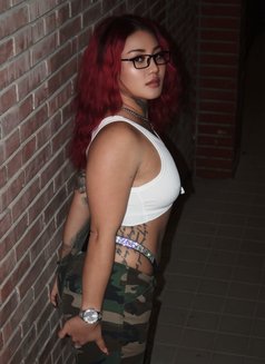 Sarah Thaidoll - escort in Okinawa Island Photo 11 of 11