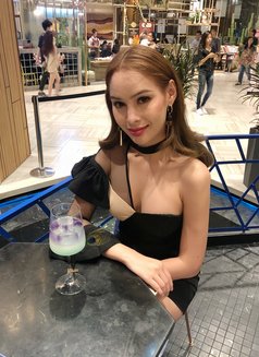 Sarah Vip - Acompañantes transexual in Georgetown, Penang Photo 10 of 21