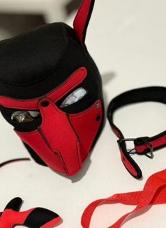 Saran - dominatrix in Lyon Photo 2 of 3